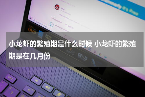 小龙虾的繁殖期是什么时候 小龙虾的繁殖期是在几月份