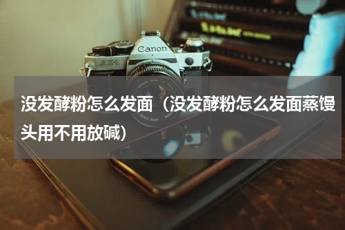 没发酵粉怎么发面（没发酵粉怎么发面蒸馒头用不用放碱）