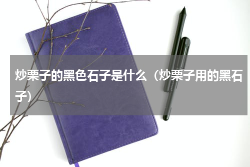 炒栗子的黑色石子是什么（炒栗子用的黑石子）