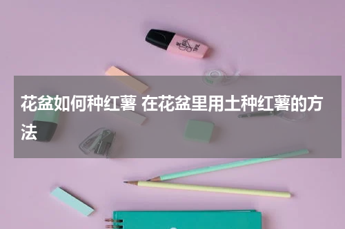 花盆如何种红薯 在花盆里用土种红薯的方法