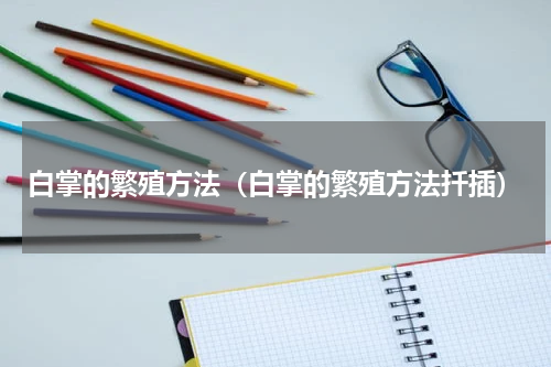 白掌的繁殖方法（白掌的繁殖方法扦插）