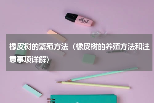 橡皮树的繁殖方法（橡皮树的养殖方法和注意事项详解）