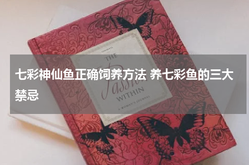 七彩神仙鱼正确饲养方法 养七彩鱼的三大禁忌