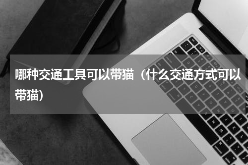 哪种交通工具可以带猫（什么交通方式可以带猫）
