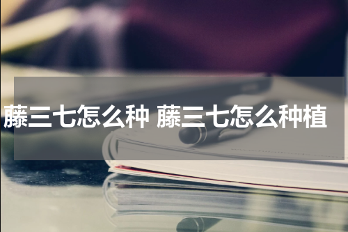 藤三七怎么种 藤三七怎么种植