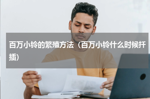 百万小铃的繁殖方法（百万小铃什么时候扦插）