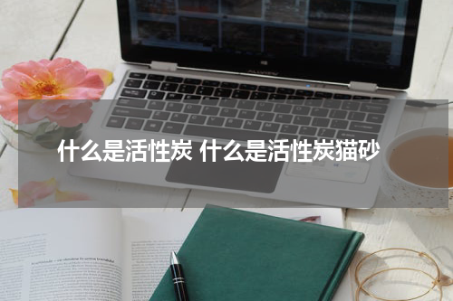 什么是活性炭 什么是活性炭猫砂