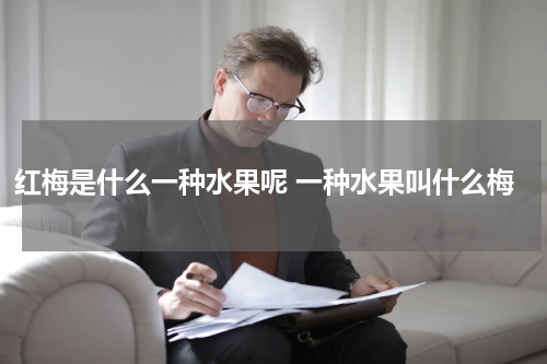 红梅是什么一种水果呢 一种水果叫什么梅