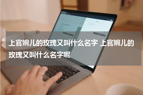 上官婉儿的玫瑰又叫什么名字 上官婉儿的玫瑰又叫什么名字呢