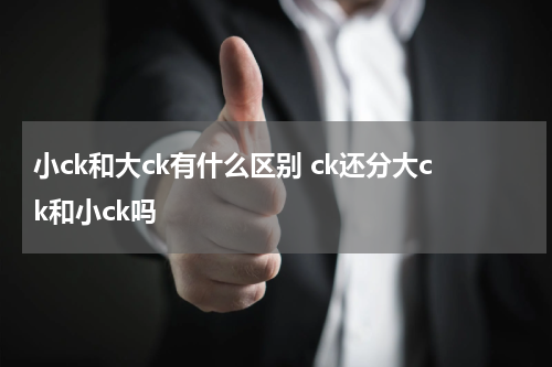 小ck和大ck有什么区别 ck还分大ck和小ck吗