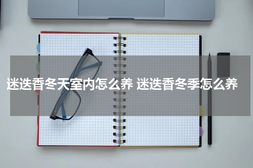 迷迭香冬天室内怎么养 迷迭香冬季怎么养