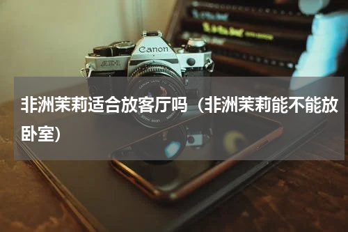 非洲茉莉适合放客厅吗（非洲茉莉能不能放卧室）