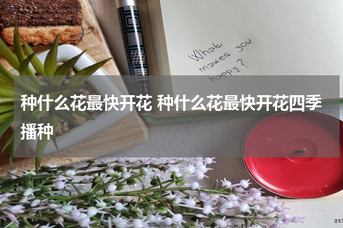 种什么花最快开花 种什么花最快开花四季播种