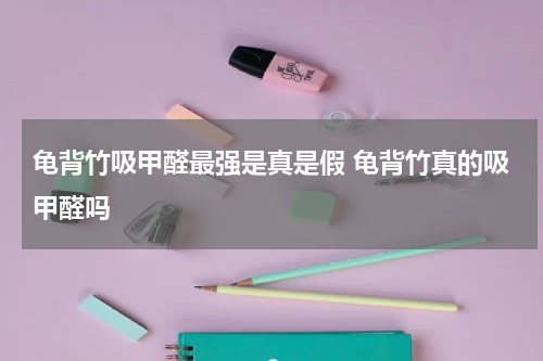 龟背竹吸甲醛最强是真是假 龟背竹真的吸甲醛吗
