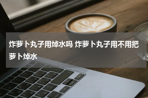 炸萝卜丸子用焯水吗 炸萝卜丸子用不用把萝卜焯水