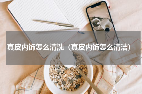 真皮内饰怎么清洗（真皮内饰怎么清洁）