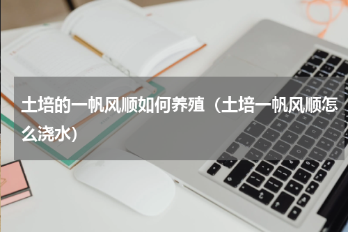 土培的一帆风顺如何养殖（土培一帆风顺怎么浇水）