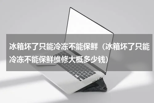 冰箱坏了只能冷冻不能保鲜（冰箱坏了只能冷冻不能保鲜维修大概多少钱）
