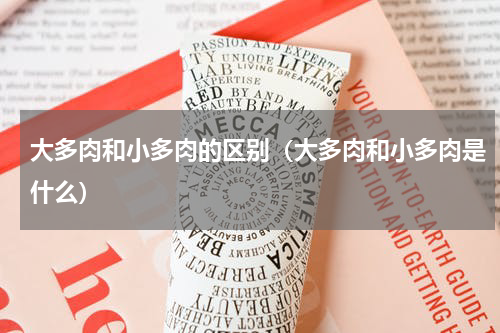 大多肉和小多肉的区别（大多肉和小多肉是什么）