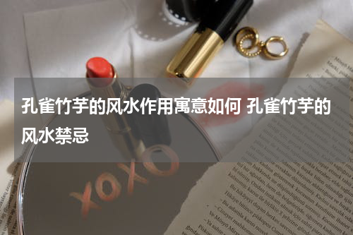 孔雀竹芋的风水作用寓意如何 孔雀竹芋的风水禁忌