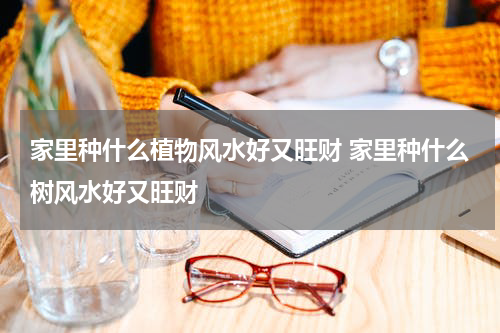 家里种什么植物风水好又旺财 家里种什么树风水好又旺财