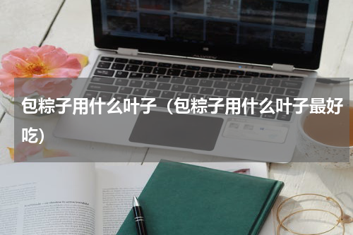 包粽子用什么叶子（包粽子用什么叶子最好吃）