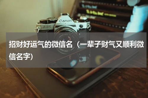 招财好运气的微信名（一辈子财气又顺利微信名字）
