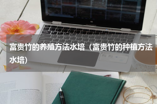 富贵竹的养殖方法水培（富贵竹的种植方法水培）