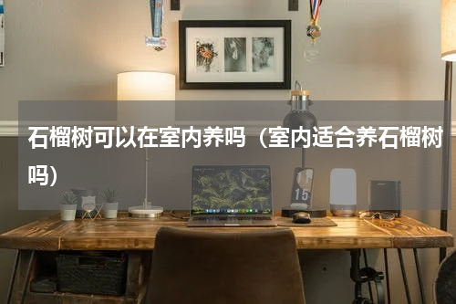 石榴树可以在室内养吗（室内适合养石榴树吗）