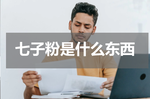 七子粉是什么东西