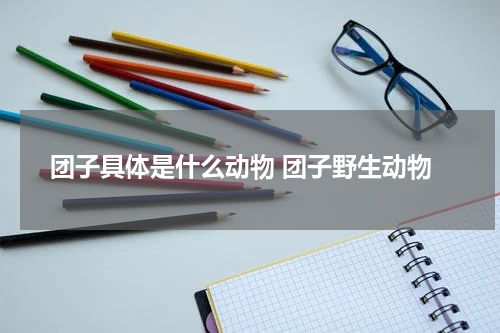 团子具体是什么动物 团子野生动物
