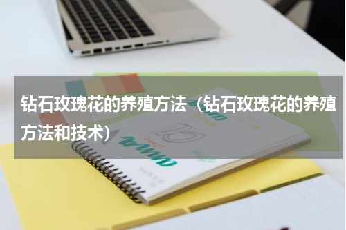 钻石玫瑰花的养殖方法（钻石玫瑰花的养殖方法和技术）