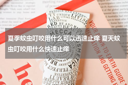 夏季蚊虫叮咬用什么可以迅速止痒 夏天蚊虫叮咬用什么快速止痒