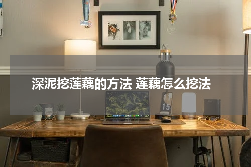 深泥挖莲藕的方法 莲藕怎么挖法