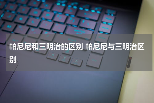 帕尼尼和三明治的区别 帕尼尼与三明治区别