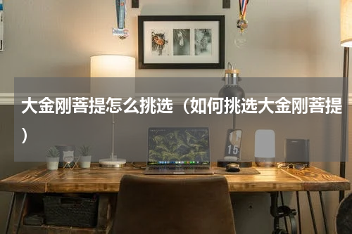 大金刚菩提怎么挑选（如何挑选大金刚菩提）