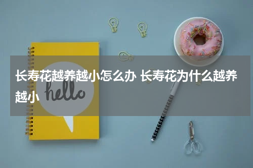 长寿花越养越小怎么办 长寿花为什么越养越小