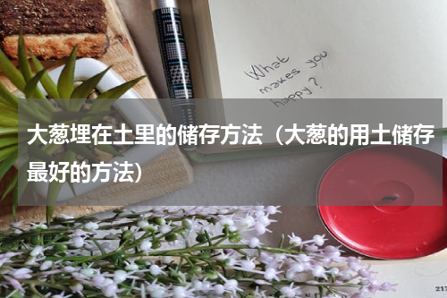 大葱埋在土里的储存方法（大葱的用土储存最好的方法）