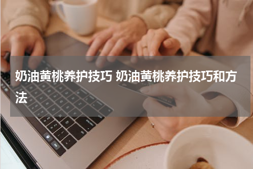 奶油黄桃养护技巧 奶油黄桃养护技巧和方法