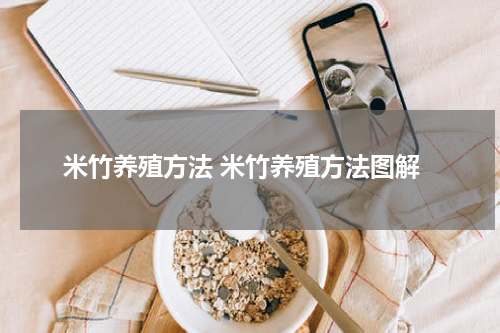 米竹养殖方法 米竹养殖方法图解