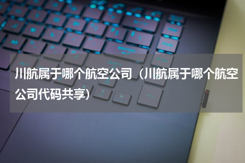 川航属于哪个航空公司（川航属于哪个航空公司代码共享）