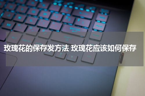 玫瑰花的保存发方法 玫瑰花应该如何保存