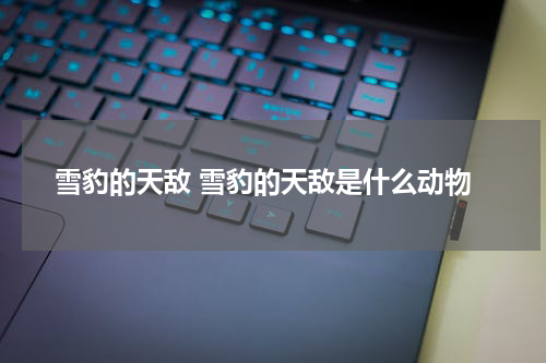 雪豹的天敌 雪豹的天敌是什么动物