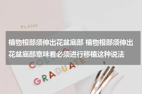 植物根部须伸出花盆底部 植物根部须伸出花盆底部意味着必须进行移植这种说法