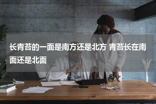 长青苔的一面是南方还是北方 青苔长在南面还是北面