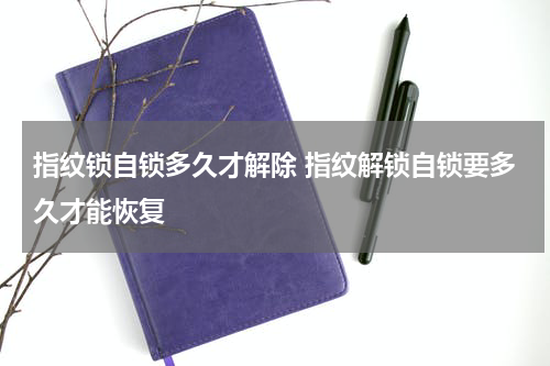 指纹锁自锁多久才解除 指纹解锁自锁要多久才能恢复