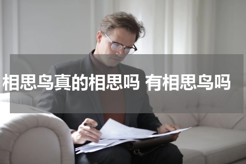 相思鸟真的相思吗 有相思鸟吗