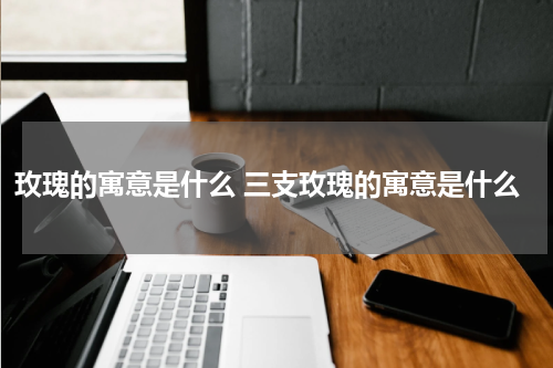 玫瑰的寓意是什么 三支玫瑰的寓意是什么