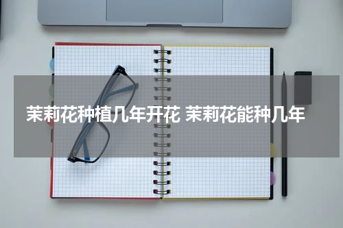 茉莉花种植几年开花 茉莉花能种几年