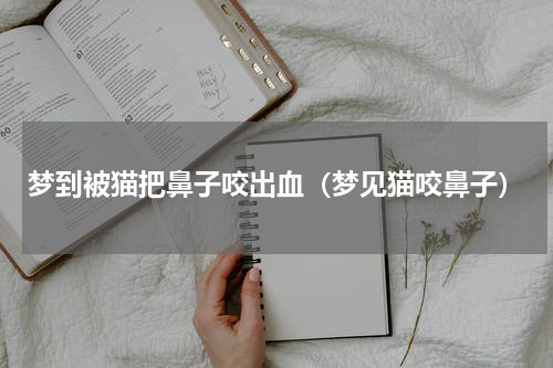 梦到被猫把鼻子咬出血（梦见猫咬鼻子）